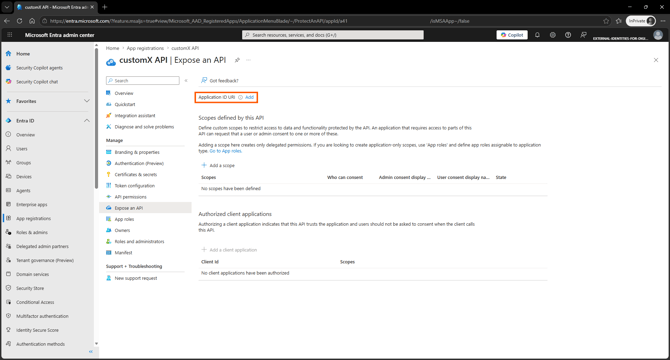 ms-external-create-api-client-scope-1