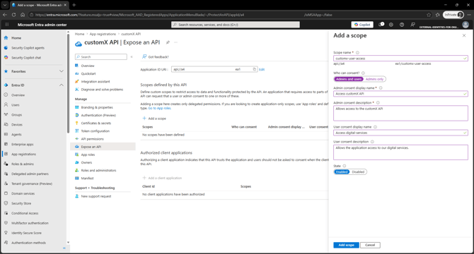 ms-external-create-api-client-scope-3