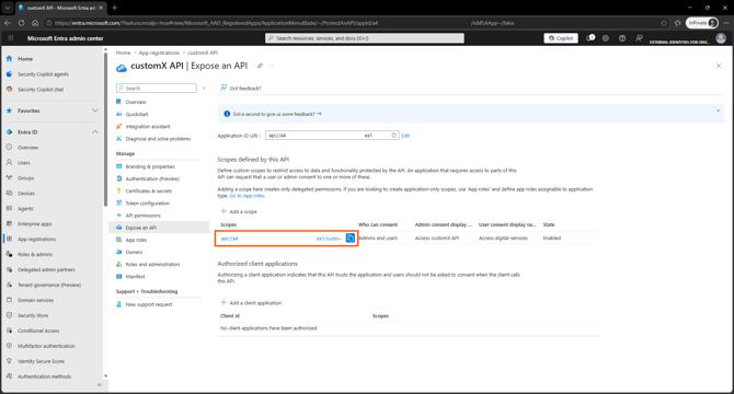 ms-external-create-api-client-scope-4